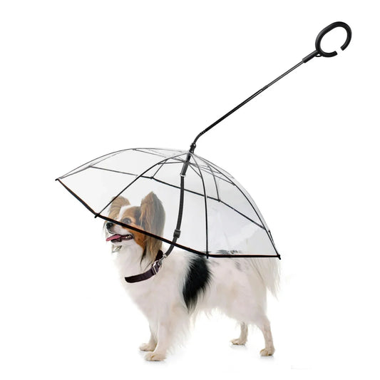 Paraguas Transparente con Correa Incorporada para Perros y Mascotas Pequeñas – Paseos Secos, Seguros y Elegantes Bajo la Lluvia