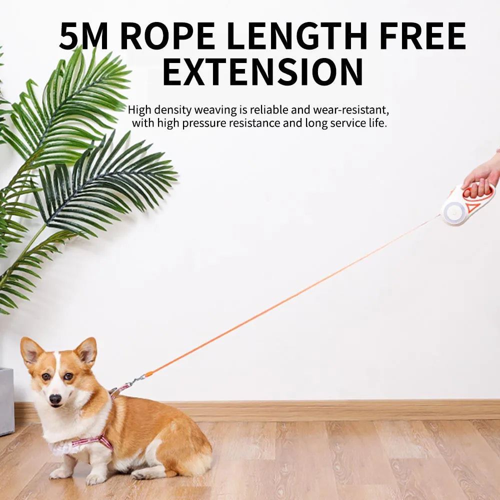 Correa Retráctil para Perros y Gatos con Luz LED Frontal, Extensible 3M y 5M, Antienredos y Sistema de Bloqueo Seguro